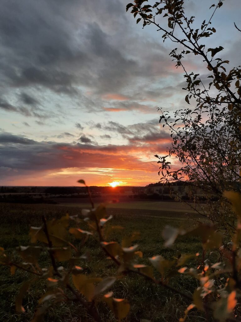 Žena plná energie, Hanka Sobotová, Hana Sobotová, jak získat energii, jak doplnit energii, nemám energii, jak získat životní energii, jak doplnit životní energii, jak najít životní energii, jak získat pozitivní energii, jak získat vnitřní energii, jak doplnit vnitřní energii, jak doplnit vnitřní energii, jak být plná energie, jak rychle získat energii, jak mít energii po celý den, jak povzbudit energii, jak rychle načerpat energii, rychlé doplnění energie, jak zvýšit energii, Jak si doplnit energii, jak záskat ztracenou energii, jak mít energie, Jak získat energii do života, jak mít energii po celý den, jak nabrat energii, zvýšení energie, co pomáhá na energii, co na energii, proti únavě, jak být vitální, newsletter, průvodce na cestu k sobě, živly, Čchi-Kung, Qi-Gong pro ženy, pro páry